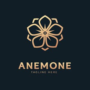 ANEMONE