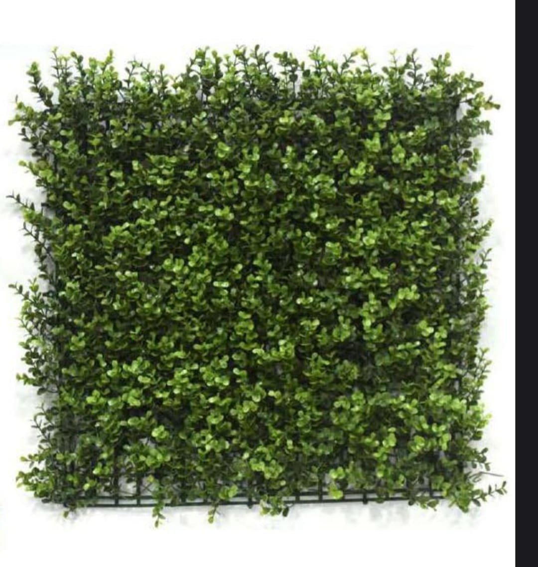 Pack of 1 Artificial Small Leaves square Wall Grass Tiles, Wall grass panels, Grass mat for wall décor, Garden Decor, Home Decor ( 20x20 inches Green) Green Eucalyptus Artificial flower
